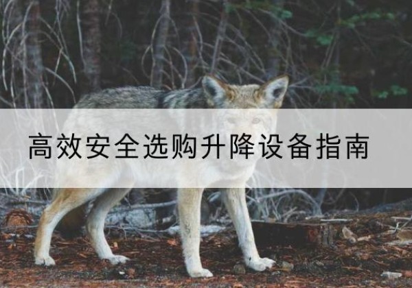 南岔升降货梯厂家推荐-*安全选购升降设备指南