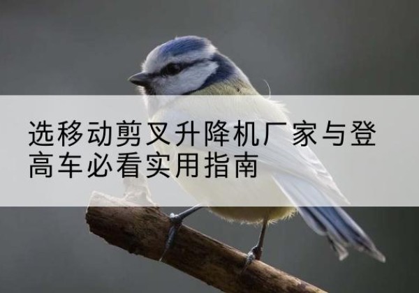南岔电动升降机厂家-选移动剪叉升降机厂家与登高车必看实用指南