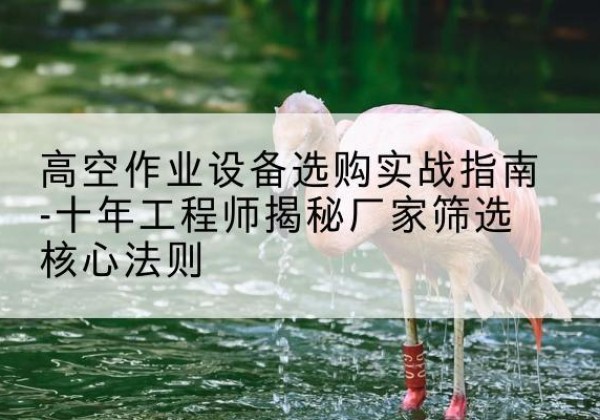 南岔剪叉式升降机厂家-高空作业设备选购实战指南-十年工程师揭秘厂家筛选核心法则